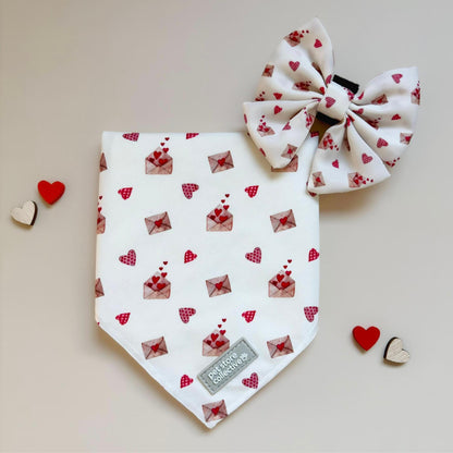 Valentine’s Day Pet Bandana & Sailor Bow Set
