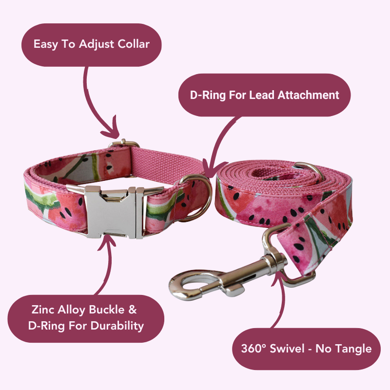 Watermelon Print Dog Collection for Vibrant Pet Style